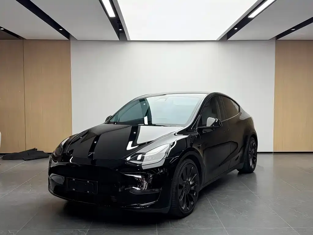 Tesla Model Y — фото 1