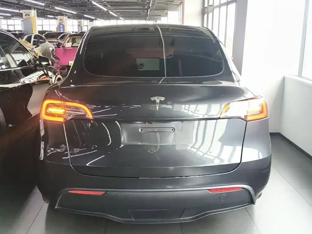 Tesla Model Y — фото 10
