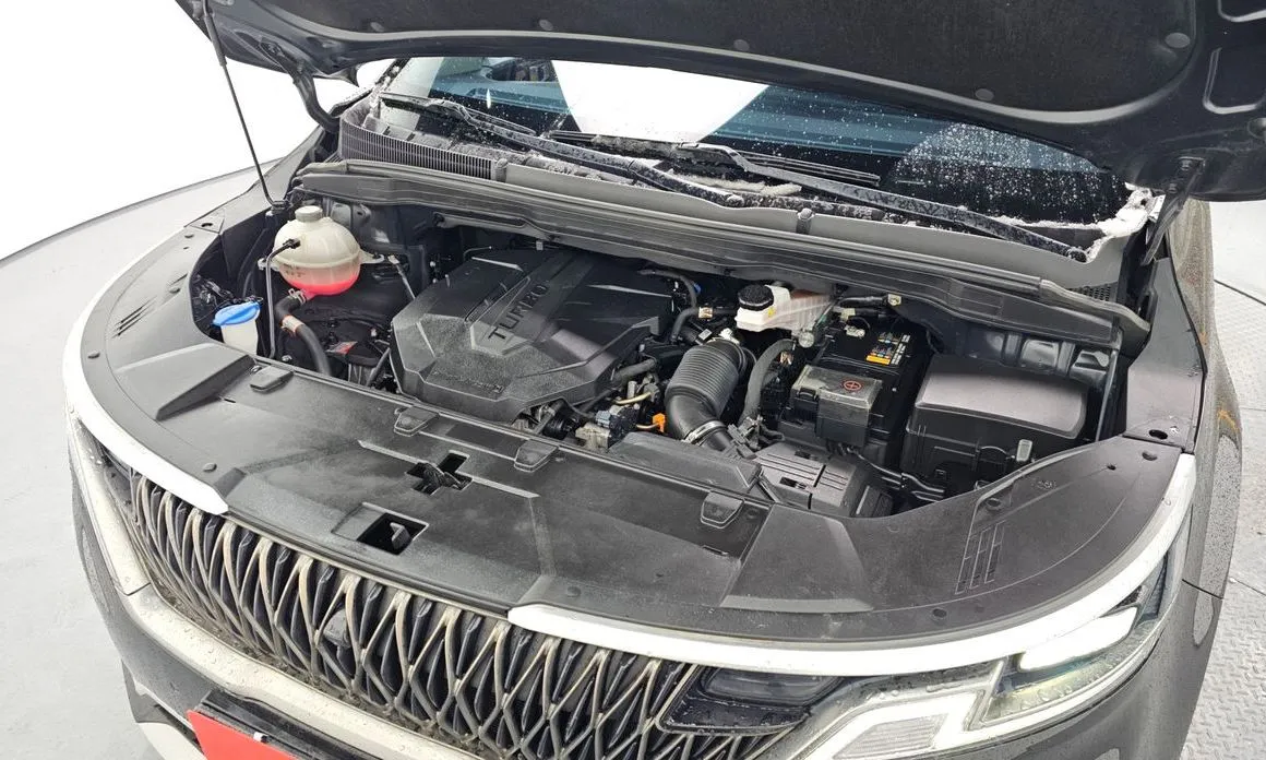 Kia Carnival — фото 10