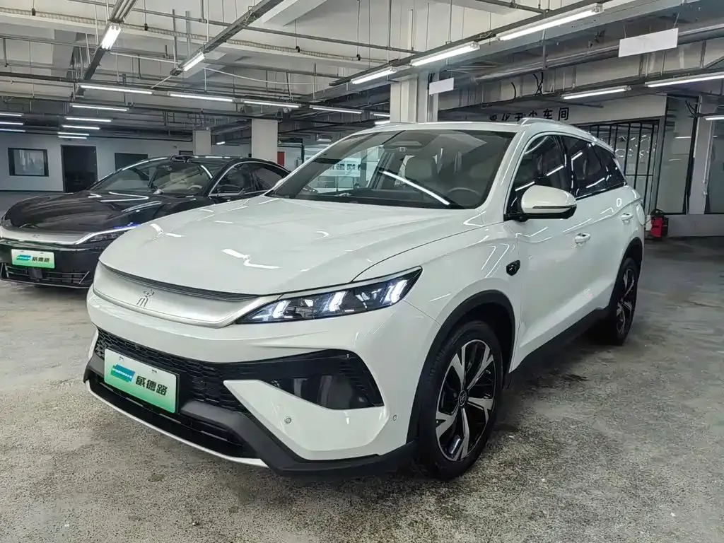 BYD Pro New Energy — фото 1