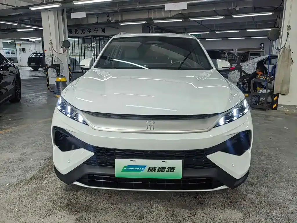 BYD Pro New Energy — фото 9