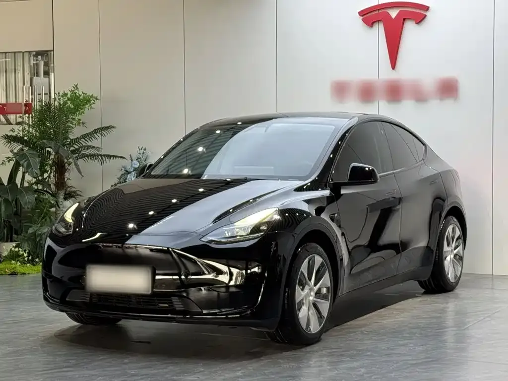 Tesla Model Y — фото 10