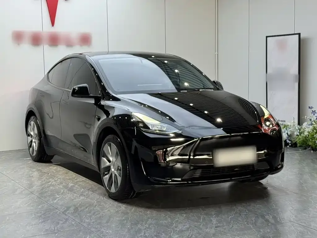 Tesla Model Y — фото 6