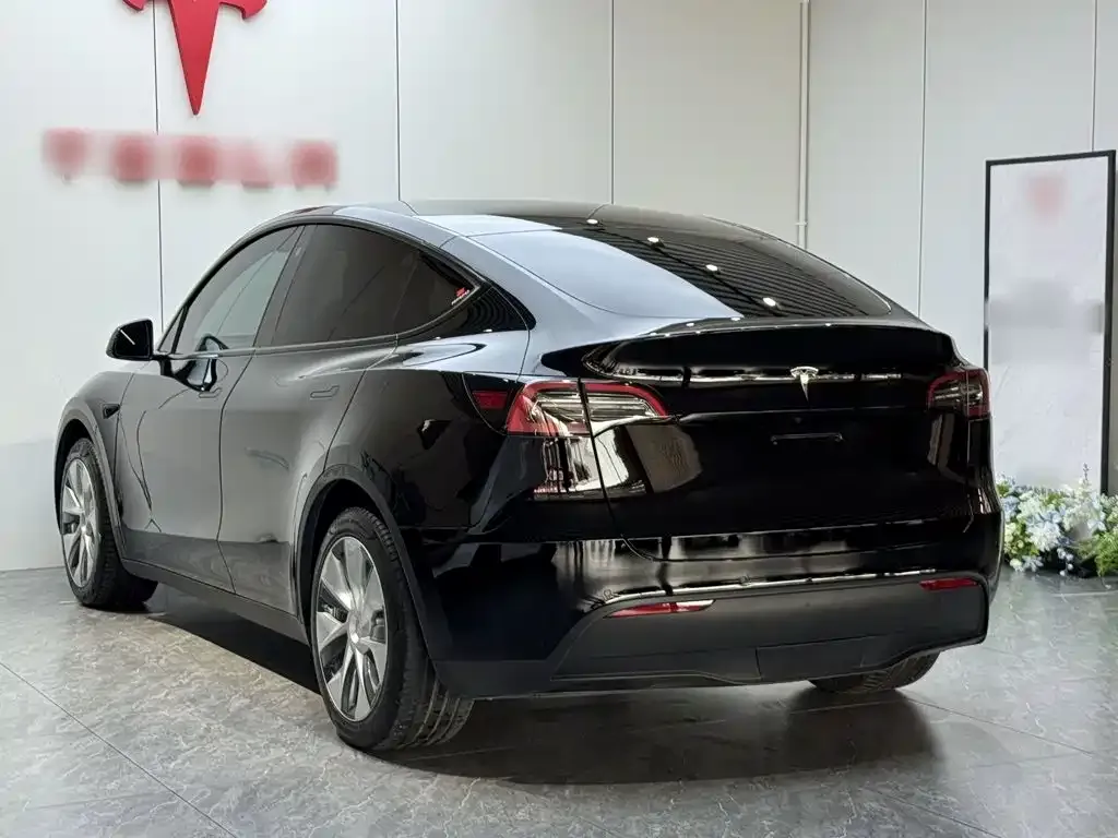 Tesla Model Y — фото 9