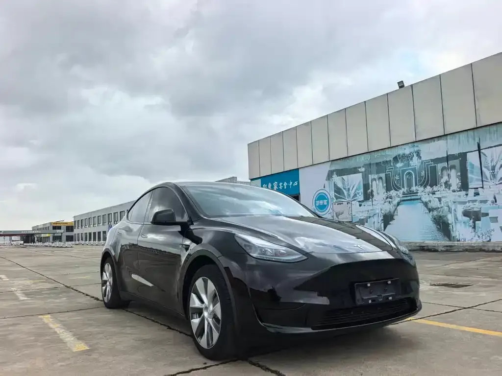 Tesla Model Y — фото 10