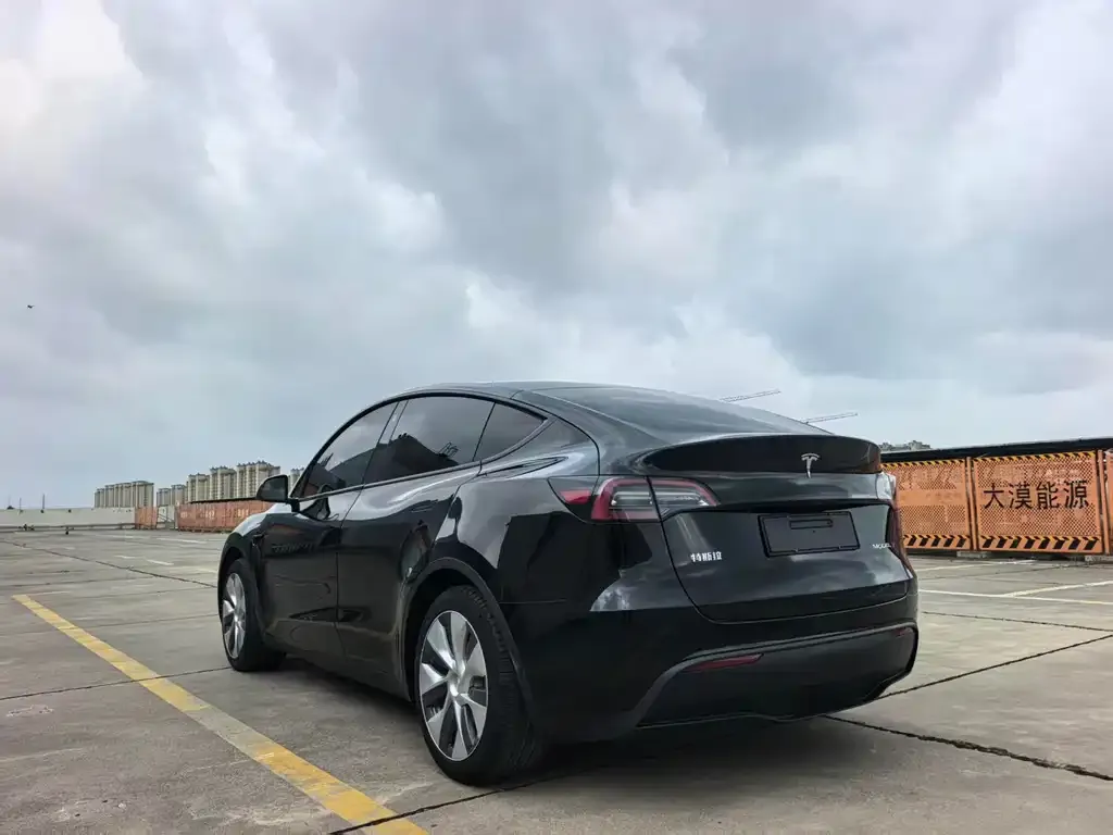 Tesla Model Y — фото 9