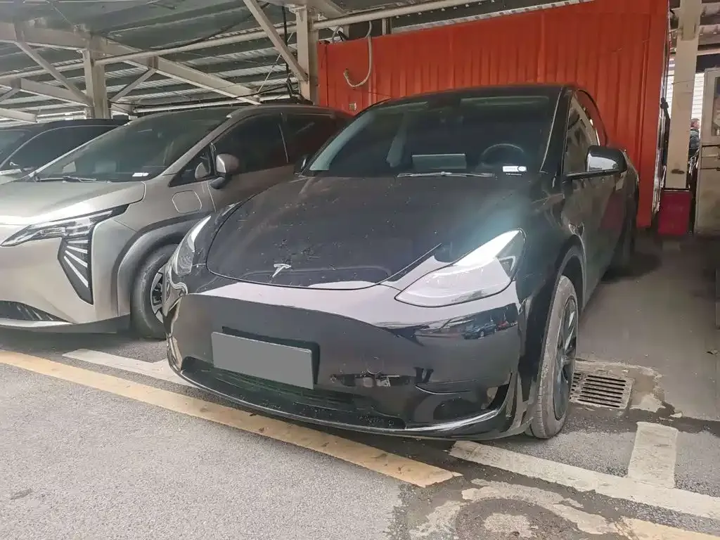 Tesla Model Y — фото 1