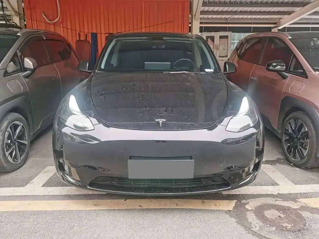 Tesla Model Y — фото 6