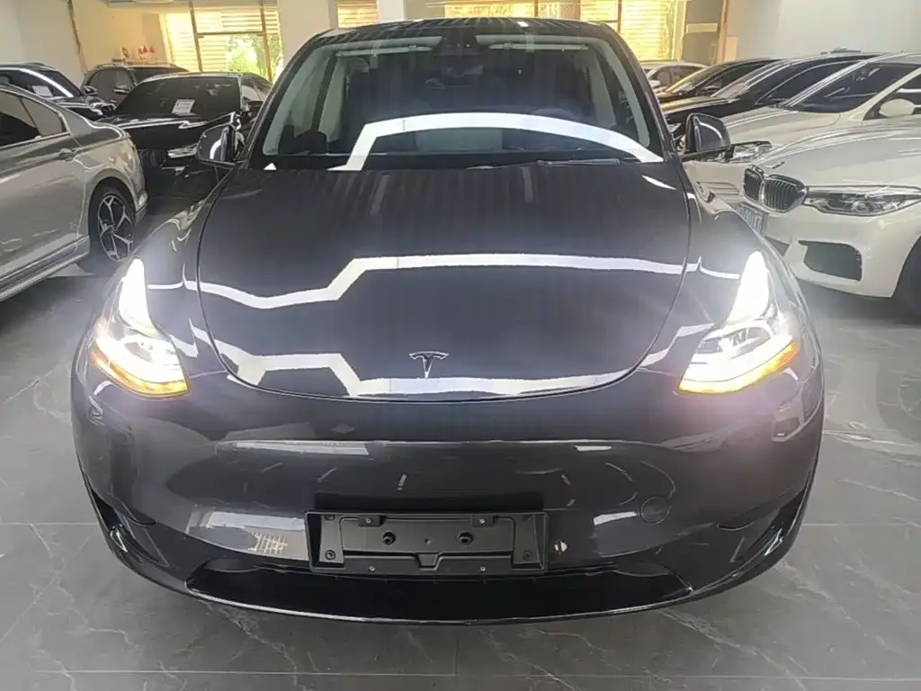 Tesla Model Y — фото 6