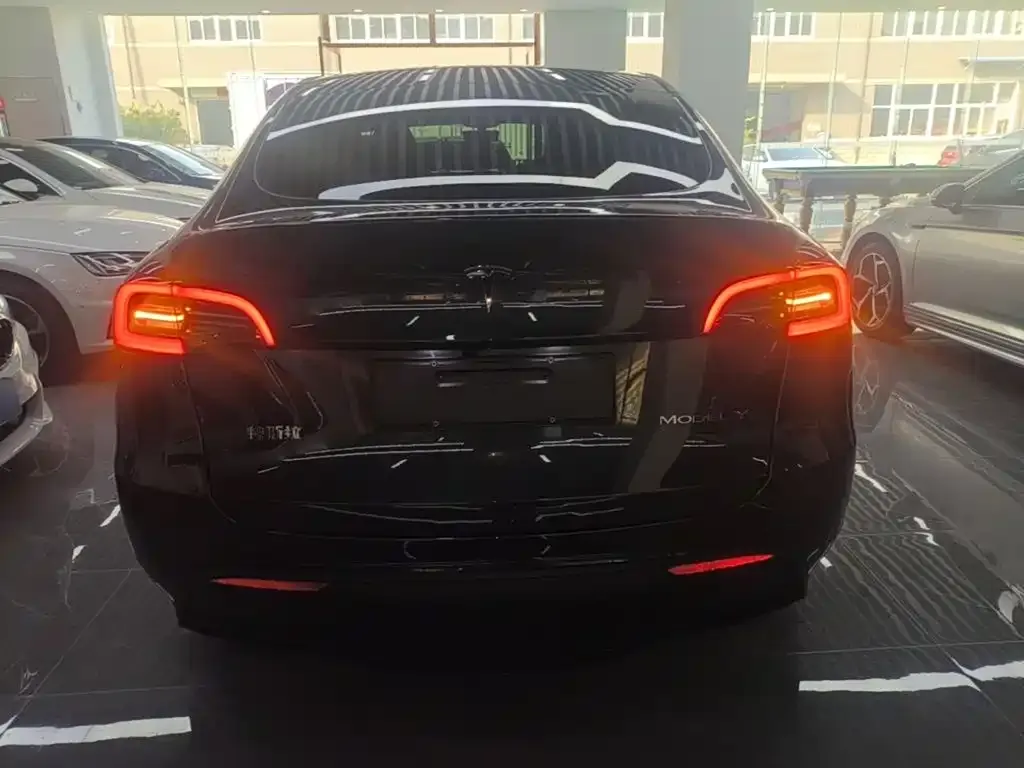 Tesla Model Y — фото 2