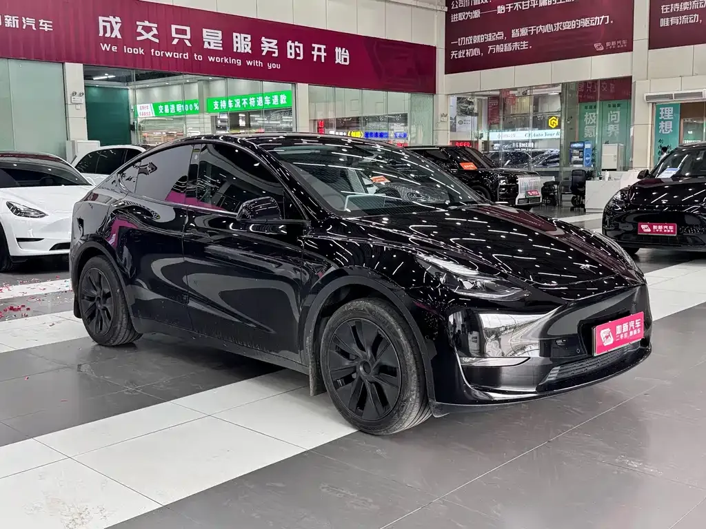 Tesla Model Y — фото 3