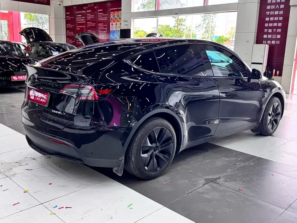 Tesla Model Y — фото 10