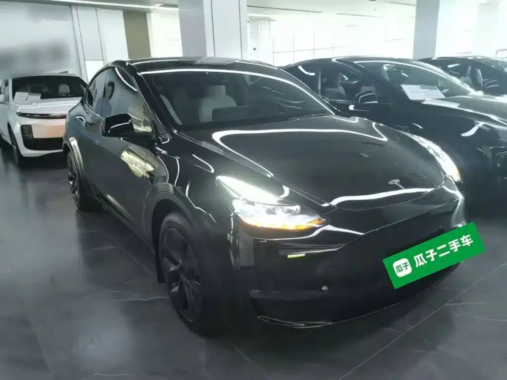 Tesla Model Y — фото 3