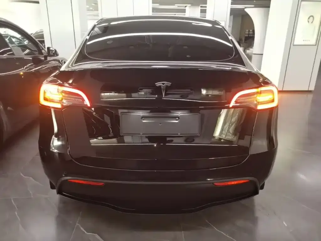 Tesla Model Y — фото 10