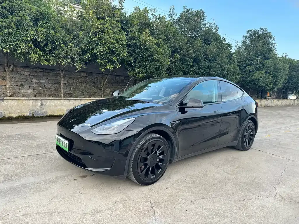 Tesla Model Y — фото 1