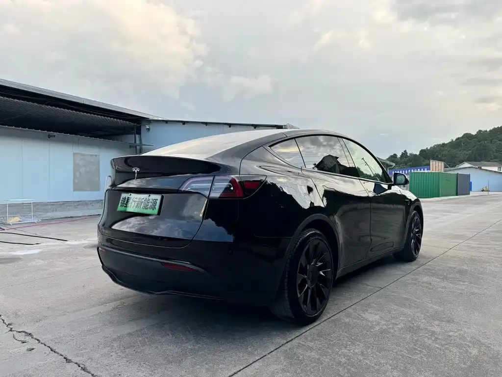 Tesla Model Y — фото 2