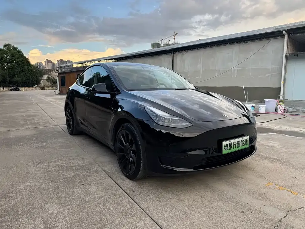 Tesla Model Y — фото 5