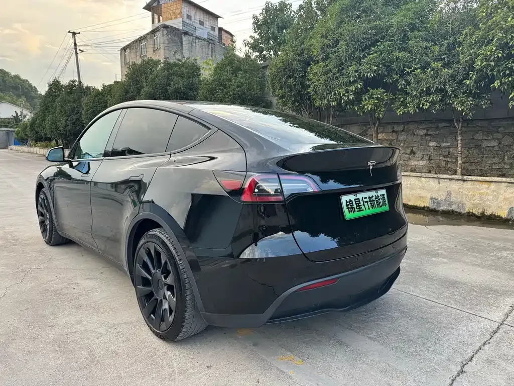 Tesla Model Y — фото 8