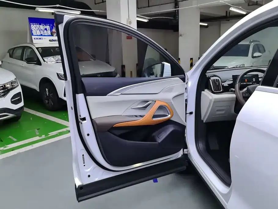 BYD Pro New Energy — фото 10