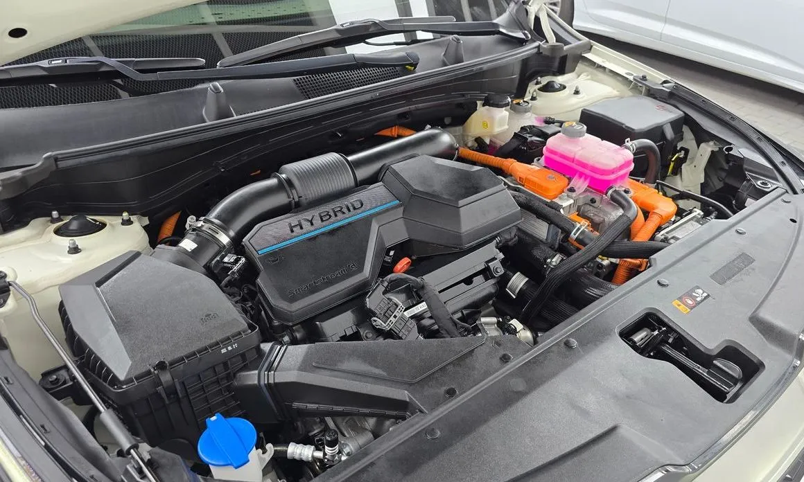 Kia Sportage — фото 8