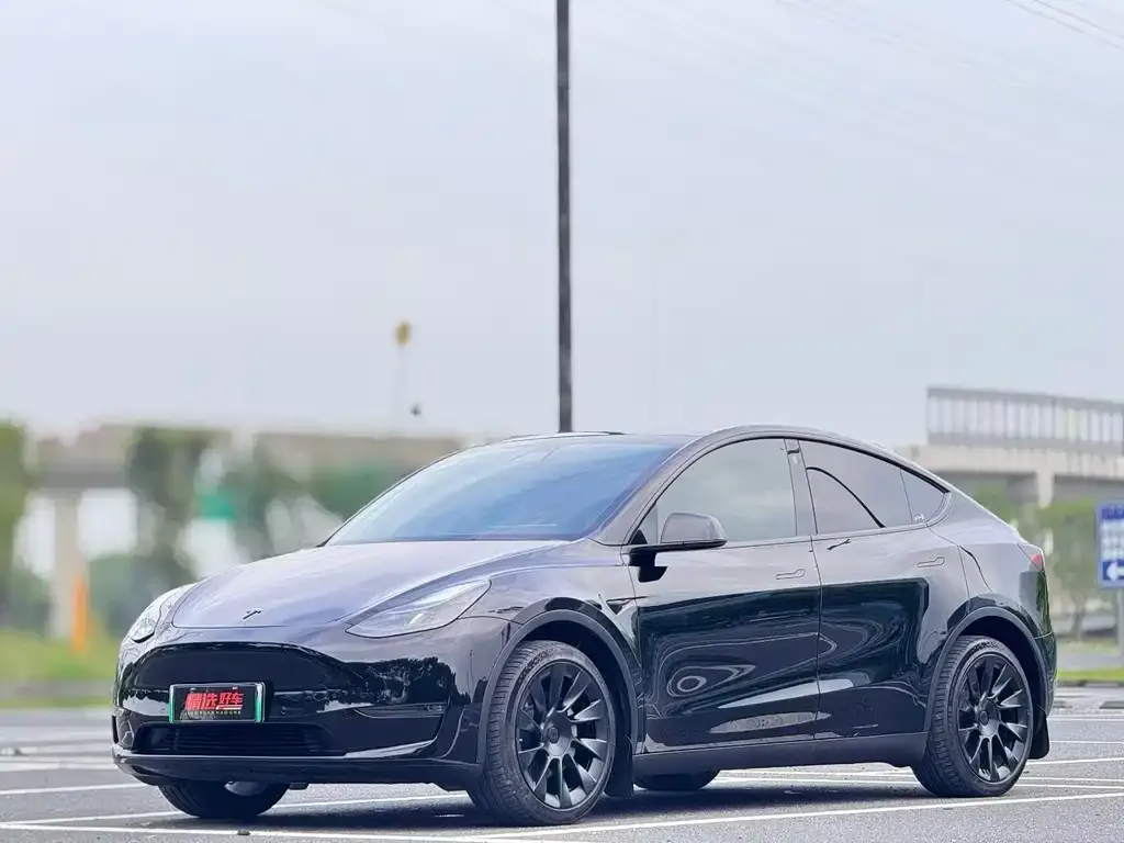 Tesla Model Y — фото 1