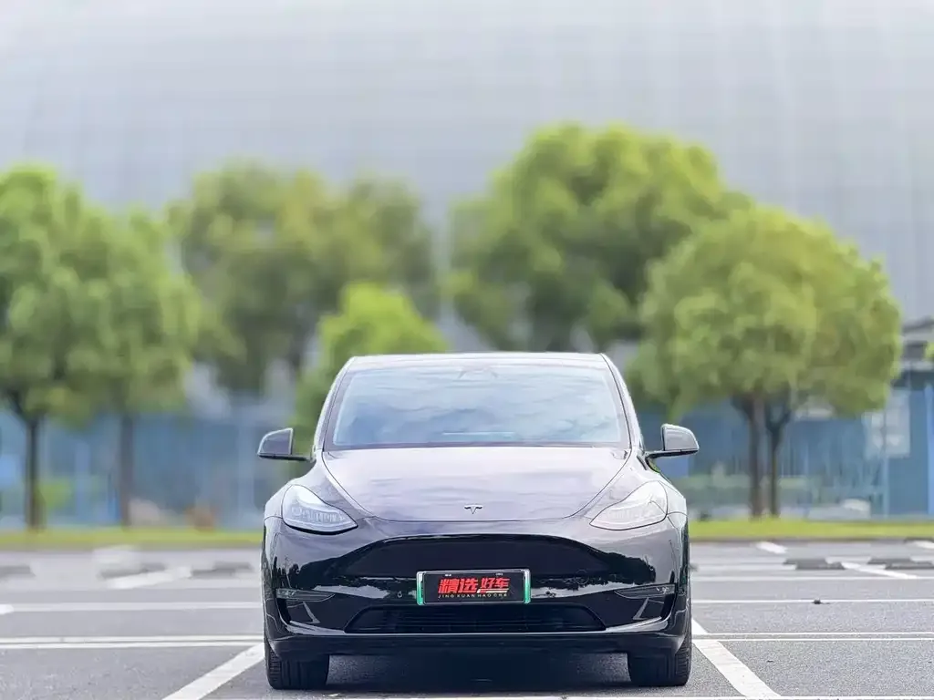 Tesla Model Y — фото 6