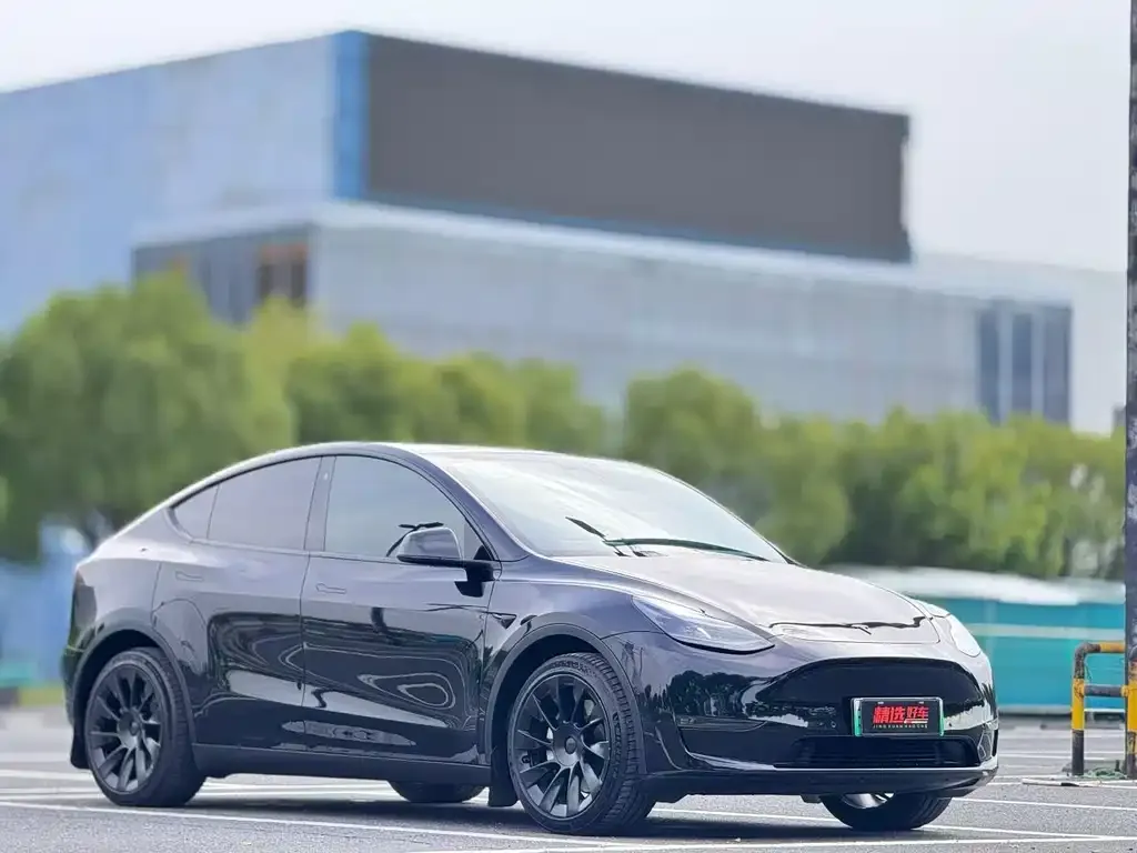 Tesla Model Y — фото 9