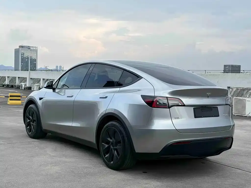 Tesla Model Y — фото 3