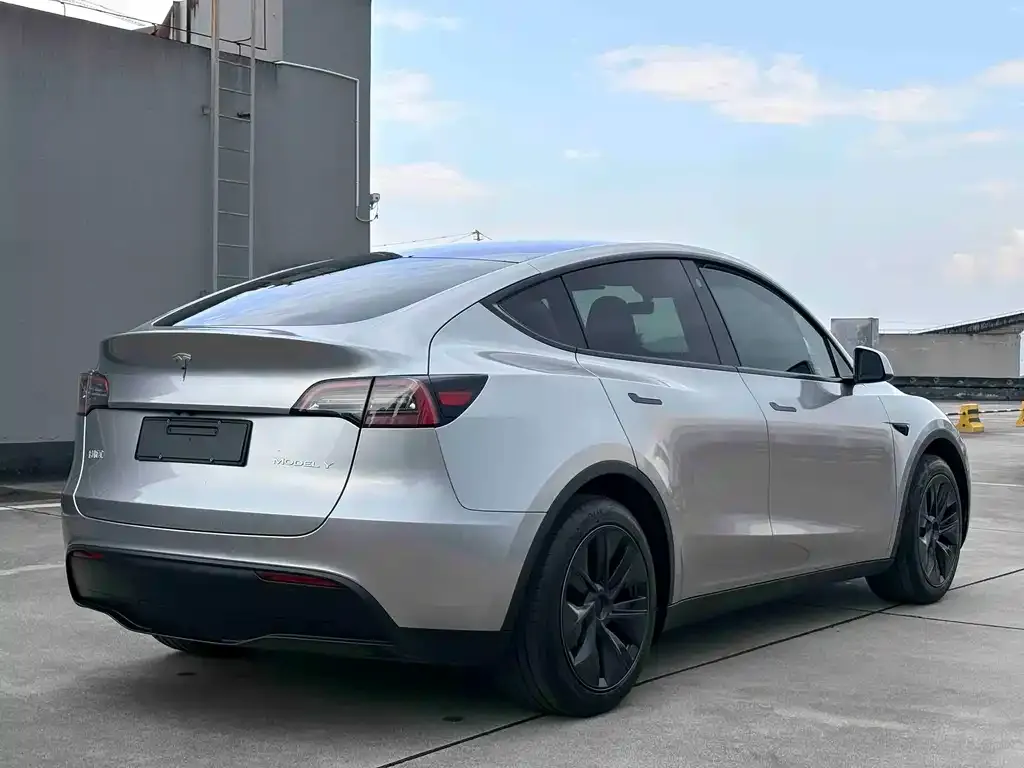 Tesla Model Y — фото 2
