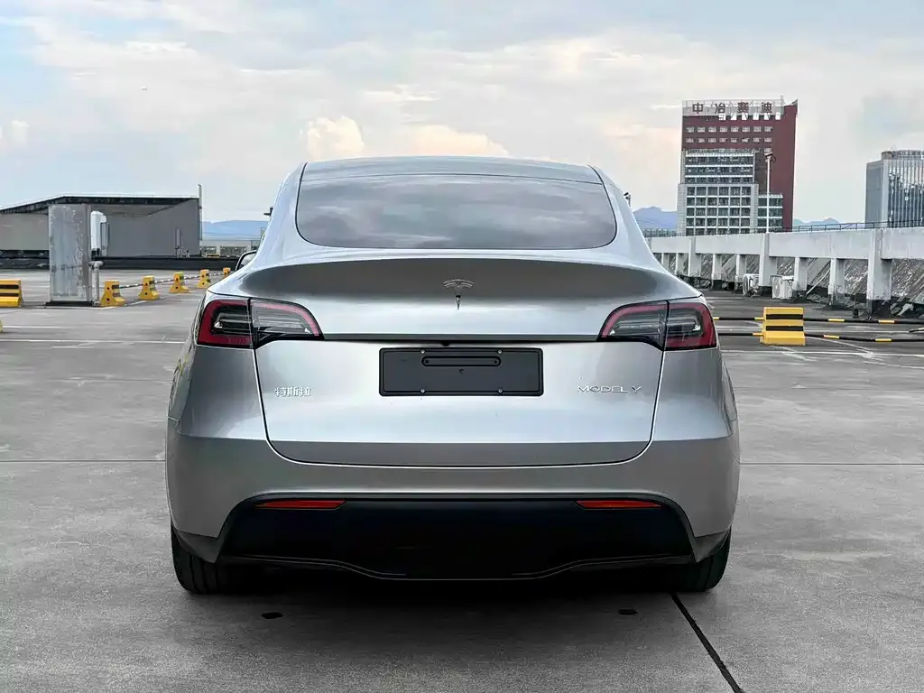 Tesla Model Y — фото 8