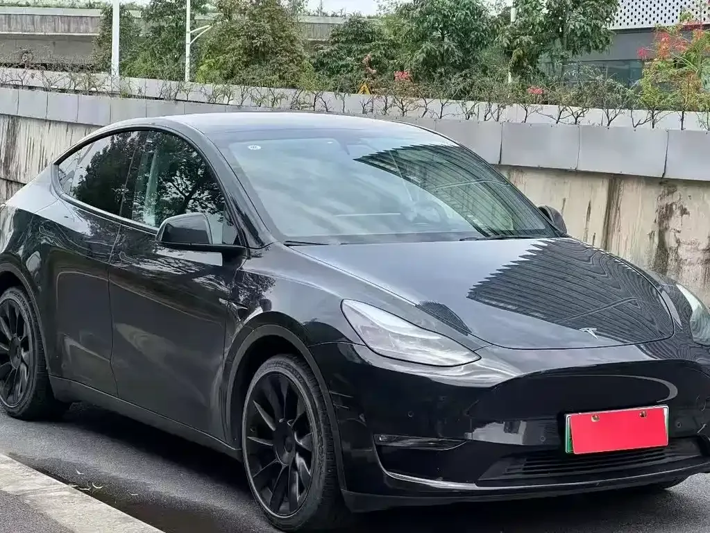 Tesla Model Y — фото 5