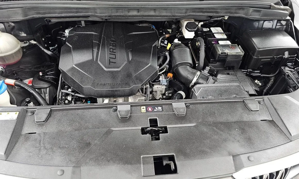 Kia Carnival — фото 10