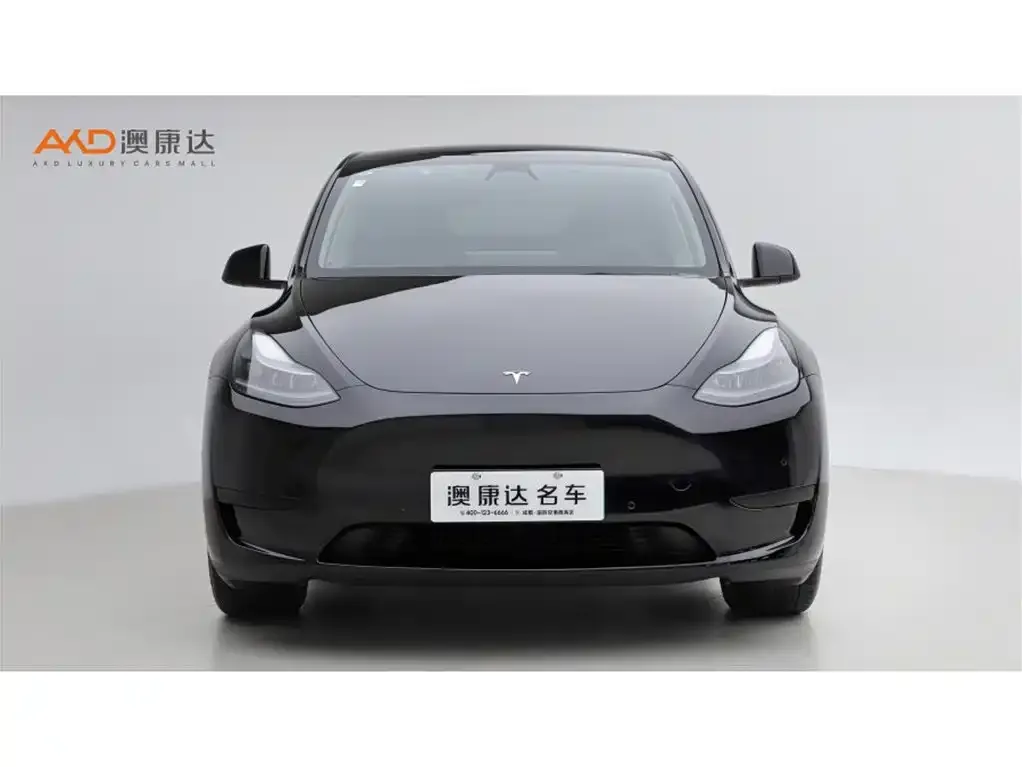 Tesla Model Y — фото 9