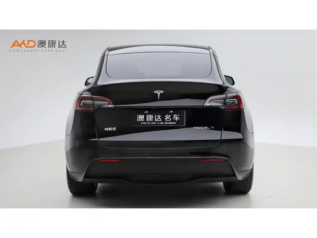Tesla Model Y — фото 2