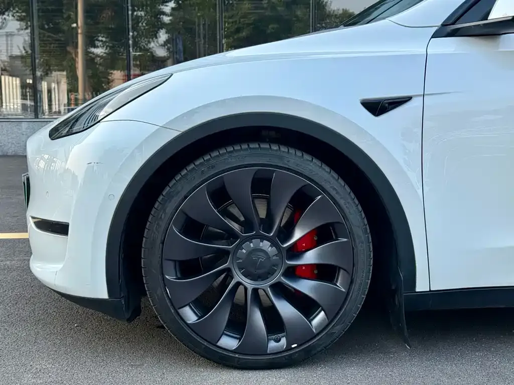 Tesla Model Y — фото 5
