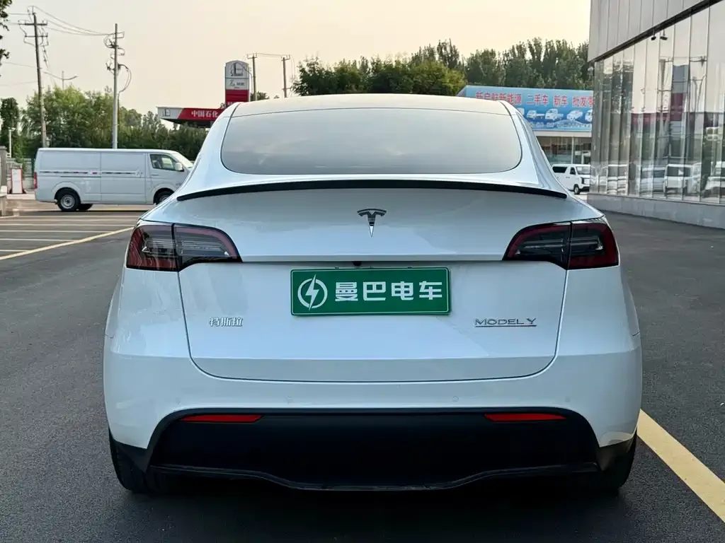 Tesla Model Y — фото 6