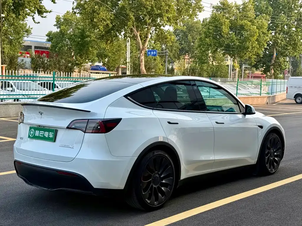 Tesla Model Y — фото 10