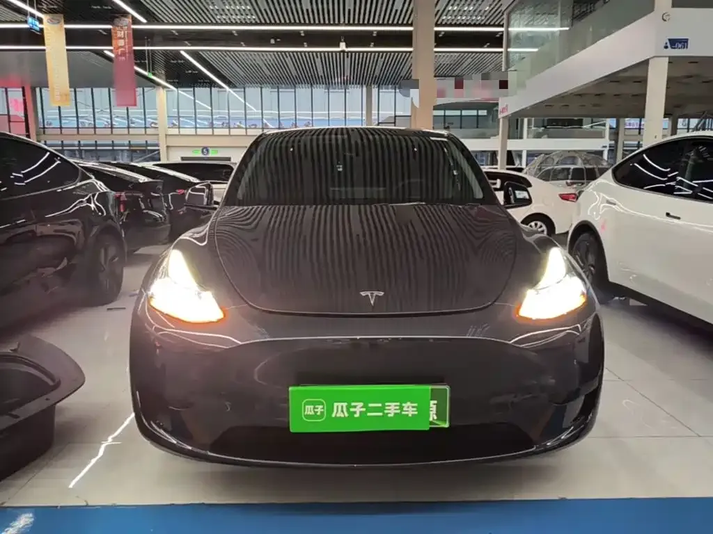 Tesla Model Y — фото 10