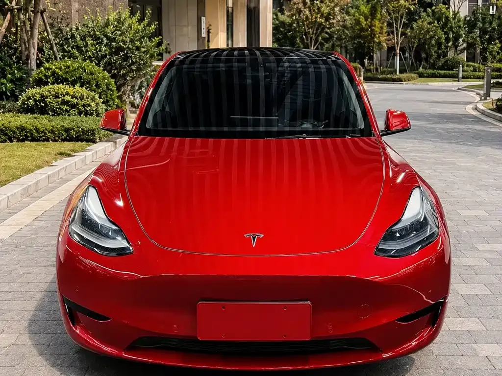 Tesla Model Y — фото 9