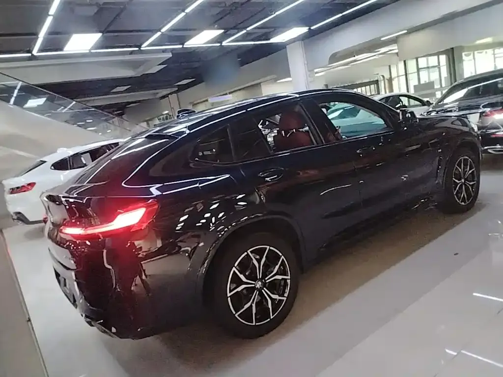 BMW X4 — фото 8