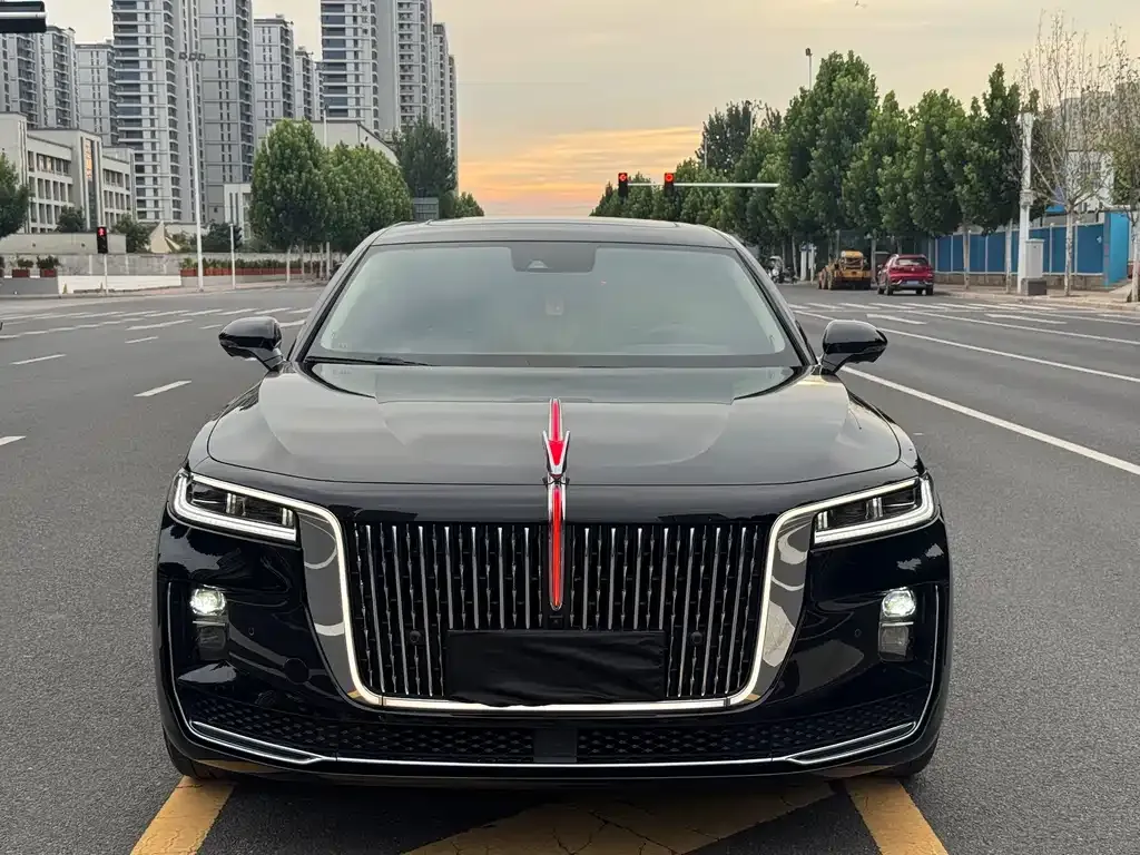 Hongqi H9 — фото 6