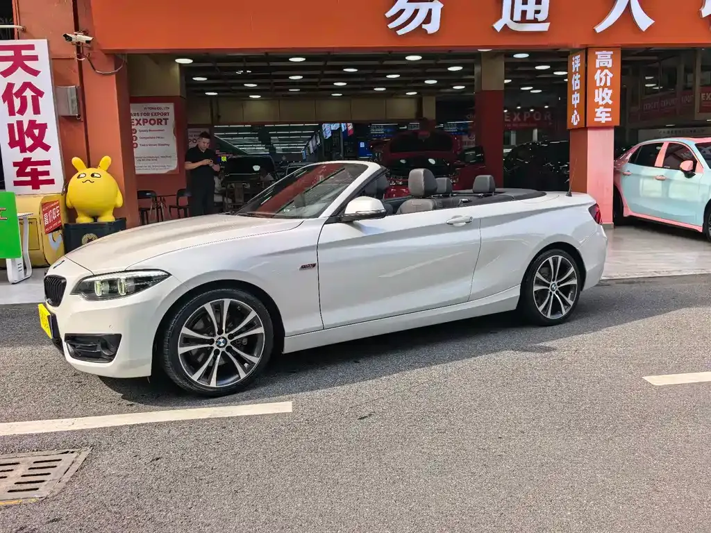 BMW 2 Series (Import) — фото 10