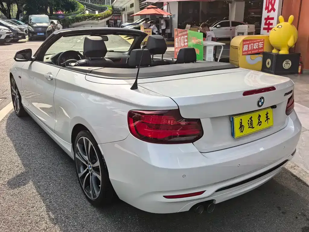 BMW 2 Series (Import) — фото 8