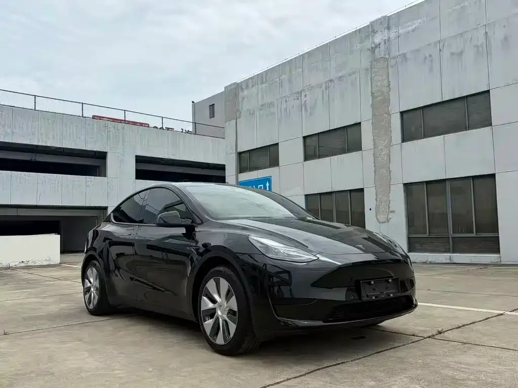 Tesla Model Y — фото 9