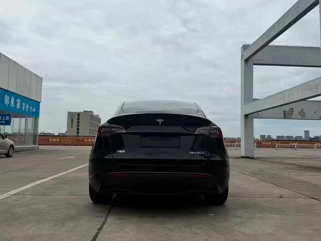 Tesla Model Y — фото 2