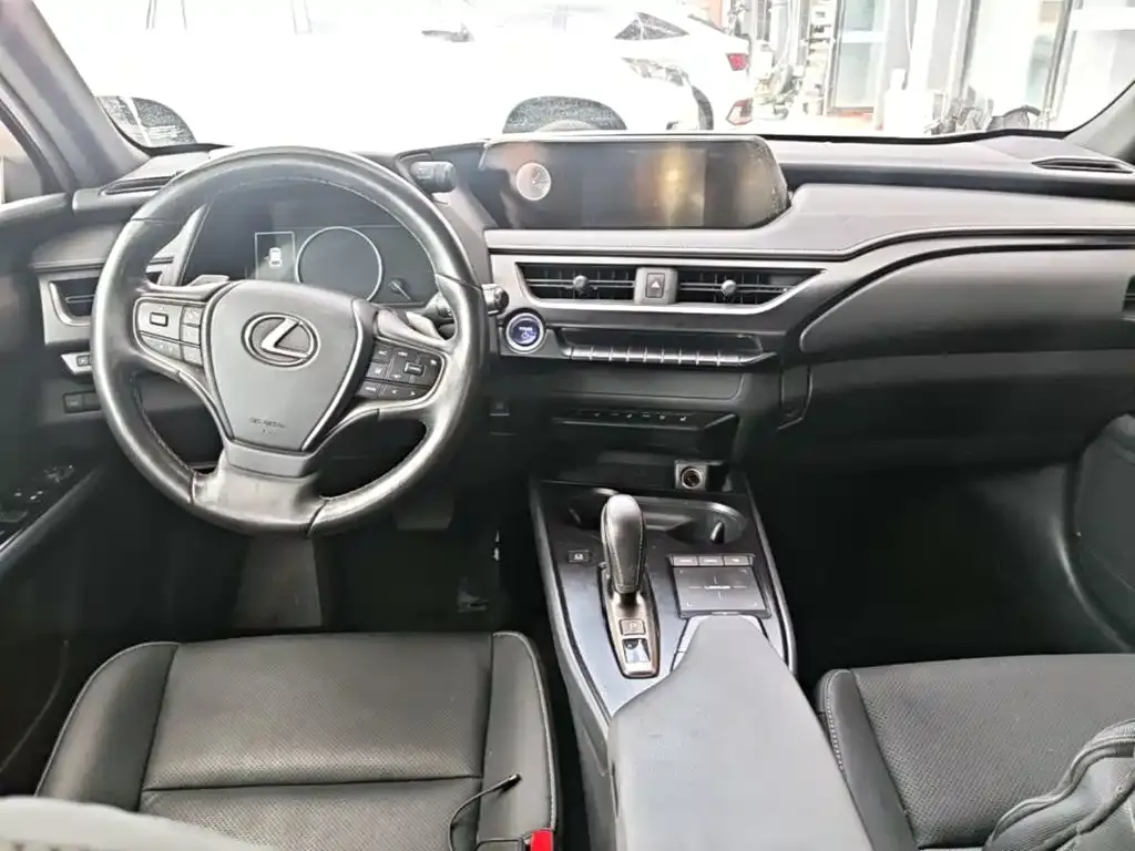 Lexus UX New Energy — фото 6