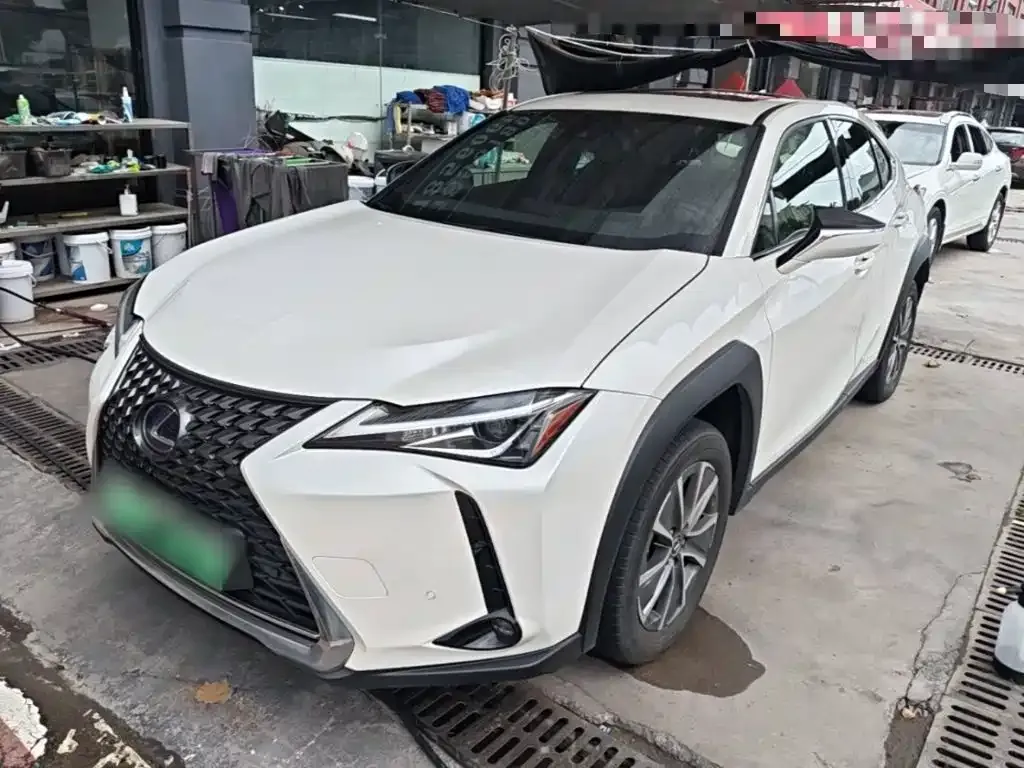 Lexus UX New Energy — фото 9