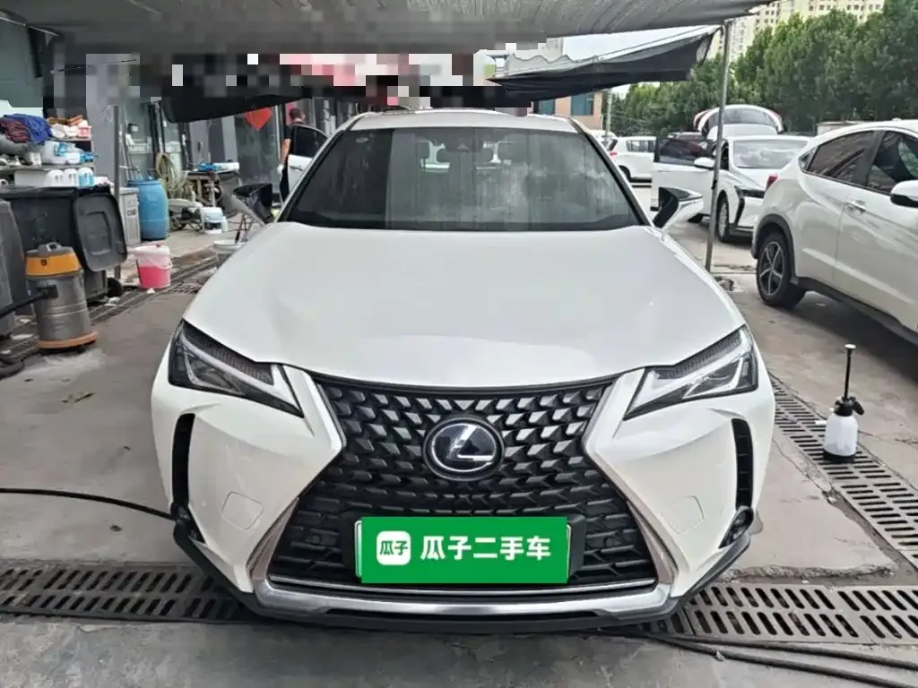 Lexus UX New Energy — фото 7