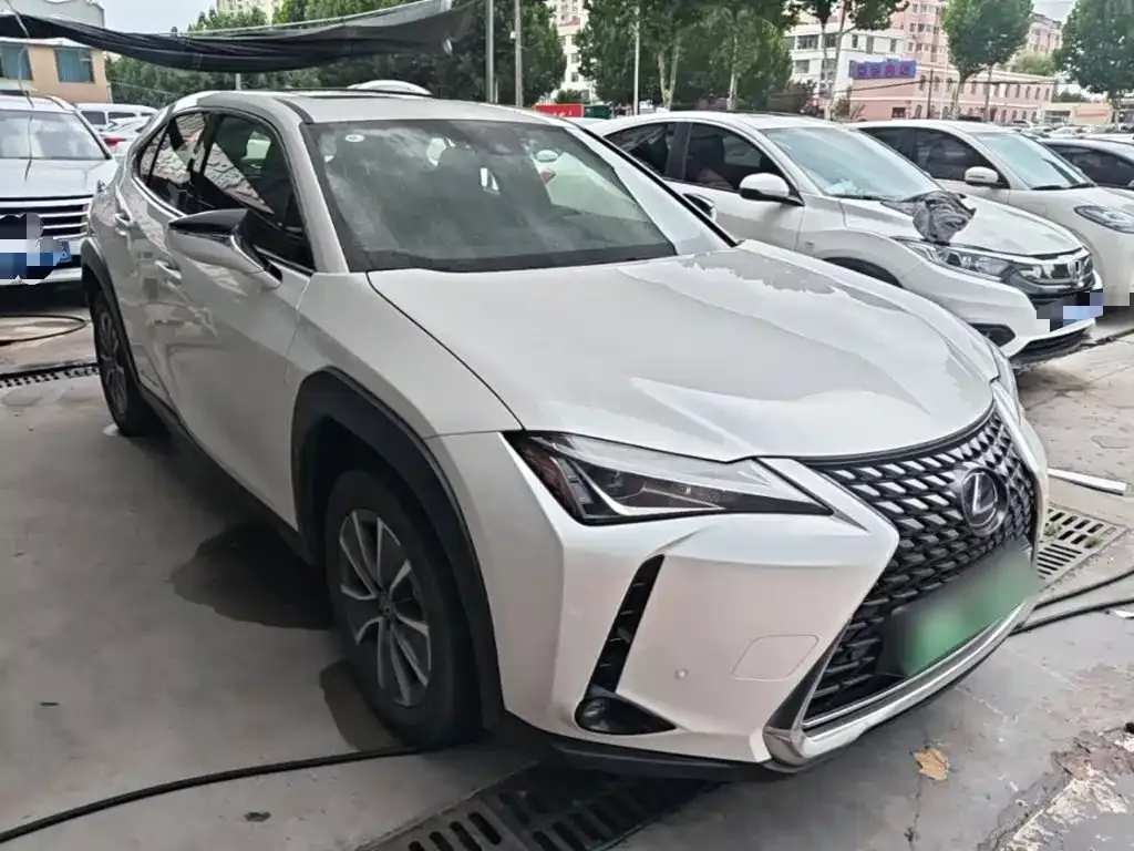 Lexus UX New Energy — фото 4
