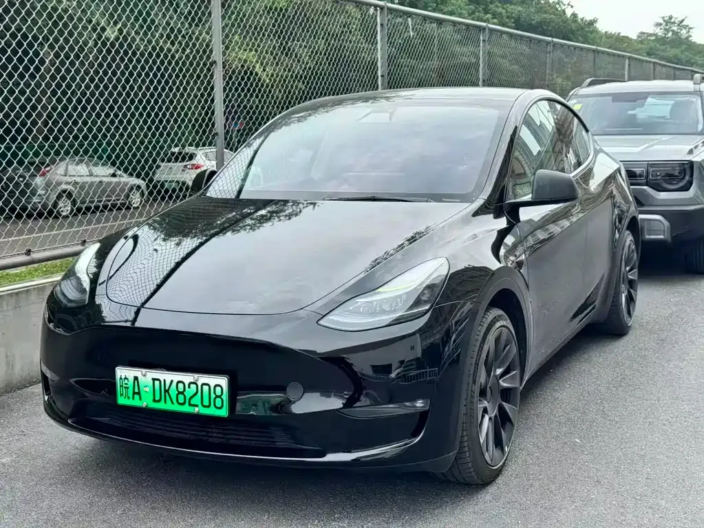Tesla Model Y — фото 1